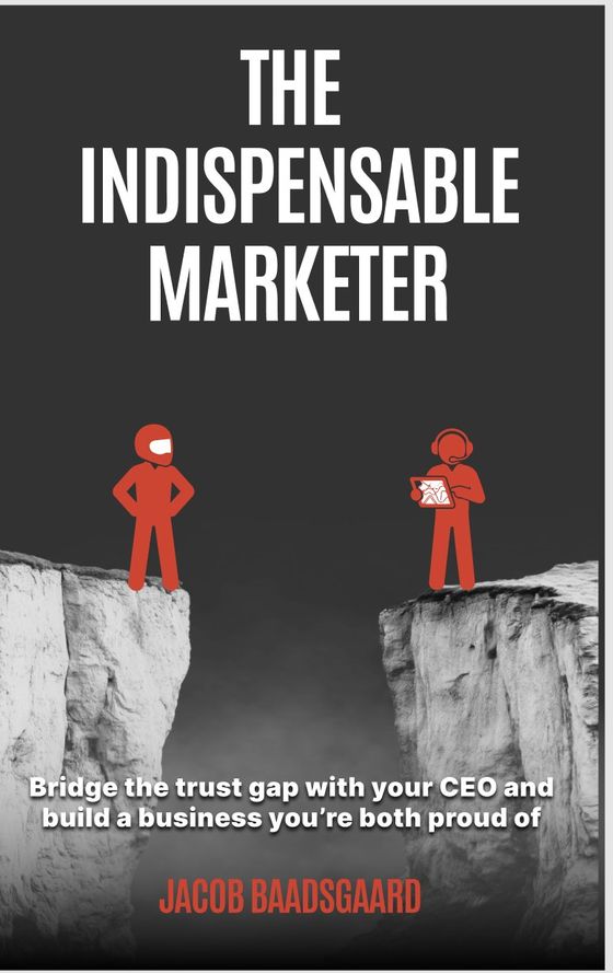 The Indispensable Marketer book cover — two figures on opposite cliffs with a gap between them